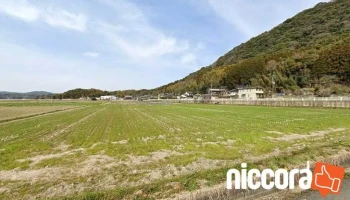 Ntt印刷株式会社 熊本工場（玉名） - 玉名市