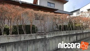 Switchデザイン事務所 - 塩竈市