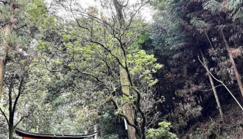Your Japan Private Tours - 京都市