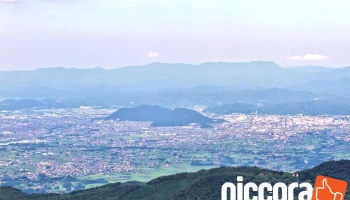 ふくしま街の専門家グループ - 福島市