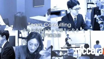 アクセルコンサルティング株式会社 - 京都市
