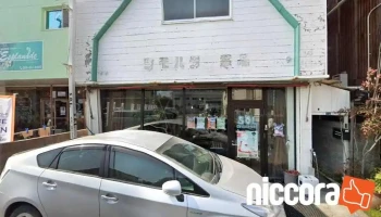 コンサルティング - 志布志市