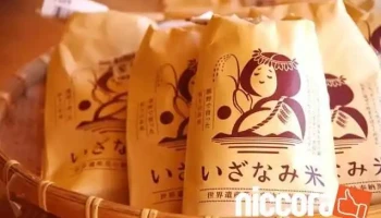 ソルトグラフィック - 熊野市