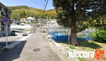 ピーシードクター - 長崎市
