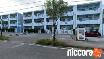 ホームページ制作-オックスクリエイティブ - 名護市