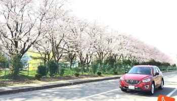 マーレエンジンコンポーネンツジャパン㈱ 鶴岡工場 - 鶴岡市