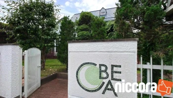 ㈱cbe−a(シーベア) - 山形市