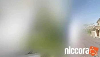 ㈱itc - 名古屋市