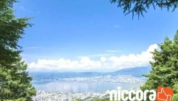 一般社団法人諏訪広域脱炭素イノベーション協会 - 諏訪市