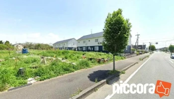 大日本ダイヤコンサルタント（株） 熊本事務所 - 熊本市