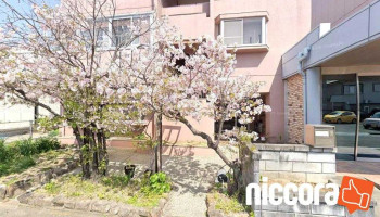日本システム開発（株） - 徳島市