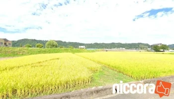 有限会社エジソン - 魚沼市