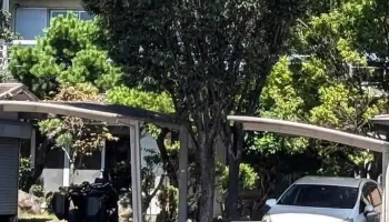 (株)ヘカトン 開発室 - 徳島市