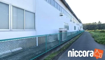 株式会社 Fiコンサルティング - つくば市