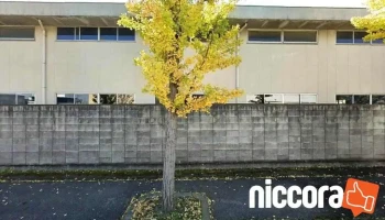株式会社 フリートプランニング - 高崎市