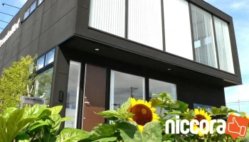 株式会社ProntoNet - 新潟市