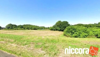 株式会社ピクシスト - 土浦市