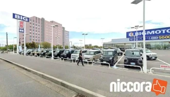 株式会社日本海コンサルタント 新潟支店 - 新潟市