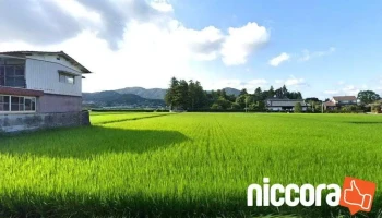 株式会社ＣｏｒｅＳｕｐｐｏｒｔ - 石岡市