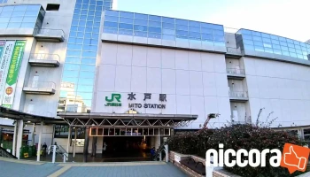 水戸エクセル - 水戸市