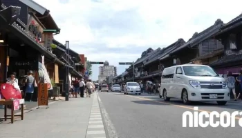 猫itソリューションズ - 川越市