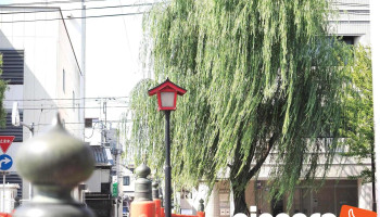 社会保険労務士法人moyorino - 鳥取市