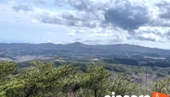 竪破山 - 高萩市