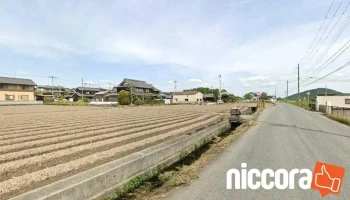 総合検査 加西 - 加西市