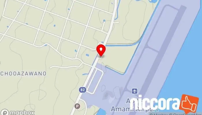 の地図 島 レンタカー で 奄美市