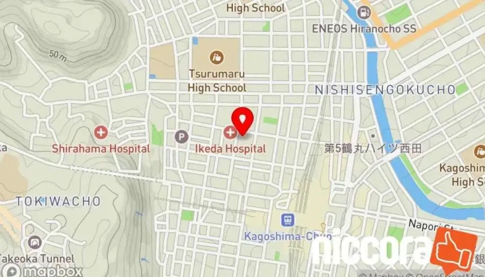 の地図 給与計算アウトソーシング 人事コンサルティング で 鹿児島市