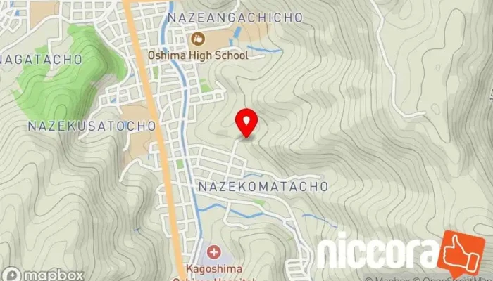 の地図 奄美情報処理専門学校 専門学校 で 奄美市