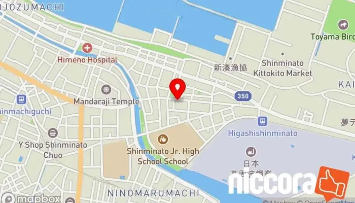 の地図 有限会社サイバースクエア ウェブ デザイナー, IT コンサルタント, グラフィック デザイナー, ソフトウェア企業 で 射水市