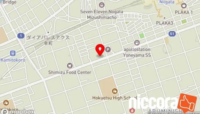 の地図 株式会社メディケアネット 医療コンサルタント, IT コンサルタント, コンピュータネットワーク企業, パソコン修理店, ウェブ デザイナー で 新潟市
