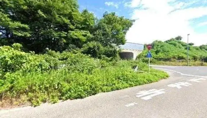Zhu Xin Yan Ji Chu Konsarutanto Subete - 新潟市