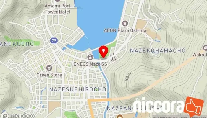 の地図 （株）ＡＩＳ・ジャパン テレマーケティング業 で 奄美市