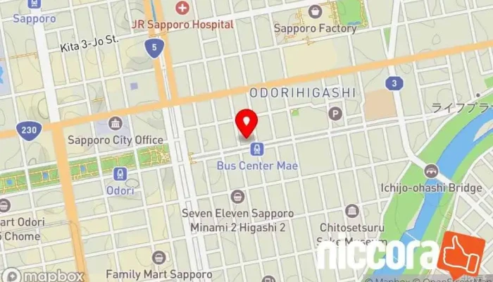 の地図 ㈱ビックボイス 札幌技術サイト IT コンサルタント で 札幌市