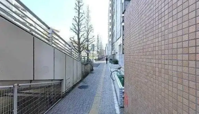Zhu Enziniapa Tona Subete - 川崎市