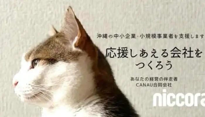 Canau合同会社 - 沖縄市