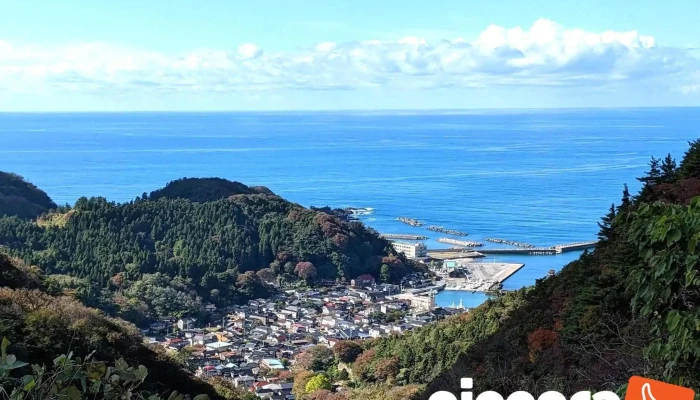 Inside Tsuruoka -  Subete - 鶴岡市