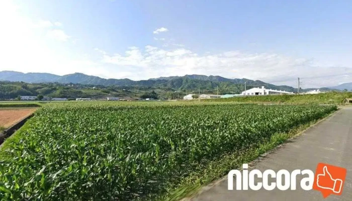 IoTシステム設置圃場 - 西八代郡市