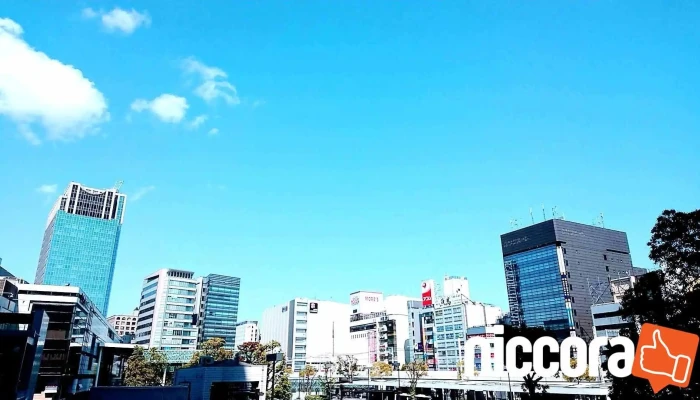 ItkuoriteiZhu Shi Hui She O Na Ti Gong - 川崎市