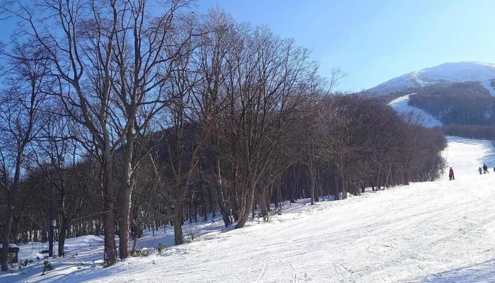 Iwanai Resort -  スキー場 - 岩内町