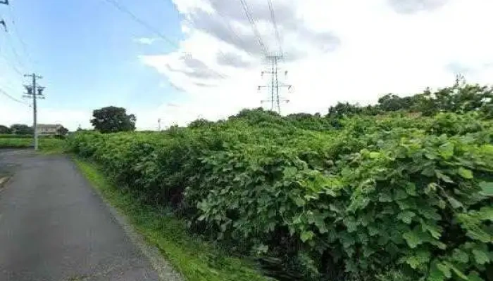 Komono -  Subete - 菰野町