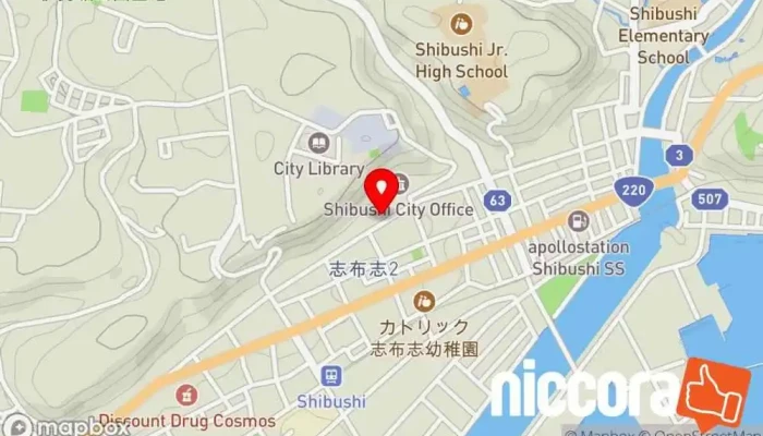 の地図 コンサルティング コンサルタント で 志布志市