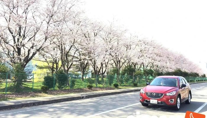 Ma Reenzinkonpo NentsuziyapanZhu He Gang Gong Chang Subete - 鶴岡市