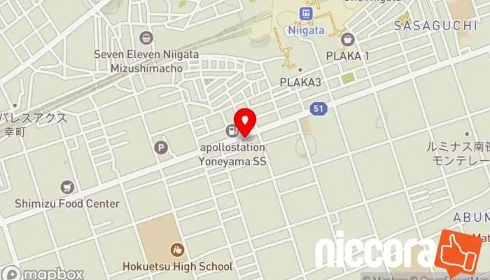 の地図 モリパワー株式会社 ソフトウェア企業, ウェブ デザイナー で 新潟市