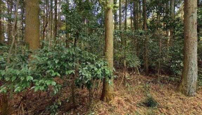 MusutemumstmXie Zu Hai Wai Yan Xiu Sheng Shi Ye Ben Bu Sutori Tobiyu To 360deg Biyu - いなべ市