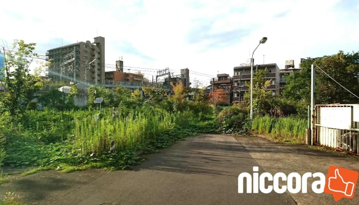 Necビジネスインテリジェンス（株） - 川崎市
