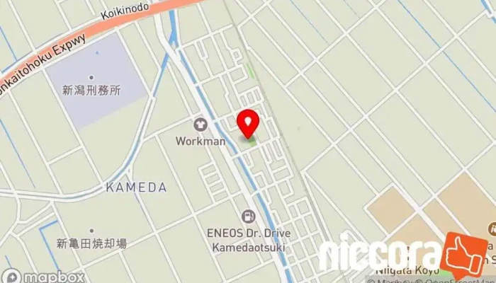 の地図 Niigata 教育コンサルタント で 新潟市