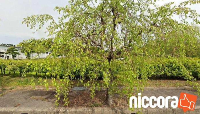 Nsic株式会社 - 射水市